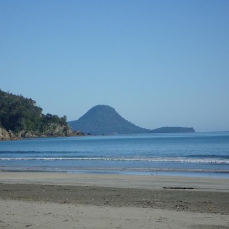 Beachfront Bliss Ohope Esterno foto