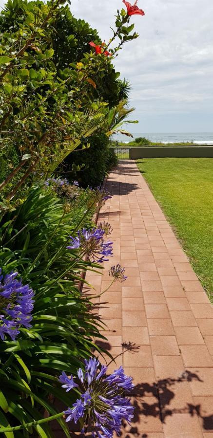 Beachfront Bliss Ohope Esterno foto